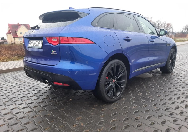 Jaguar F-Pace cena 149900 przebieg: 66895, rok produkcji 2018 z Miastko małe 529